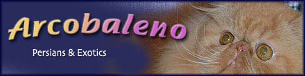 arcobalero