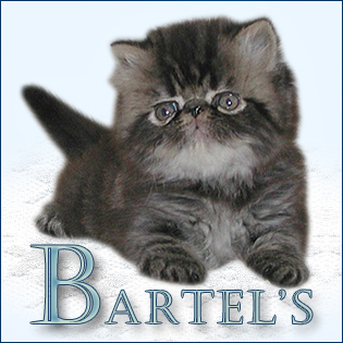 bartels